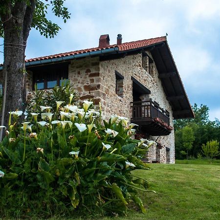 Apartamentos Rurales Larrago Busturia Luaran gambar